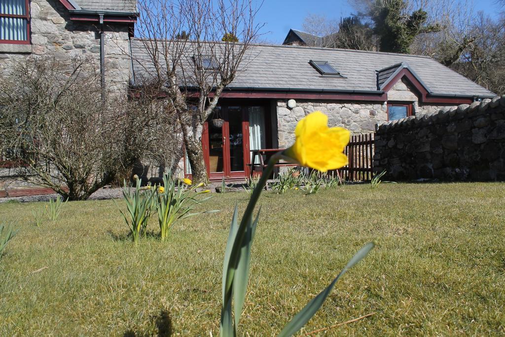 Bed and Breakfast Achaleven Byre Oban Habitación foto